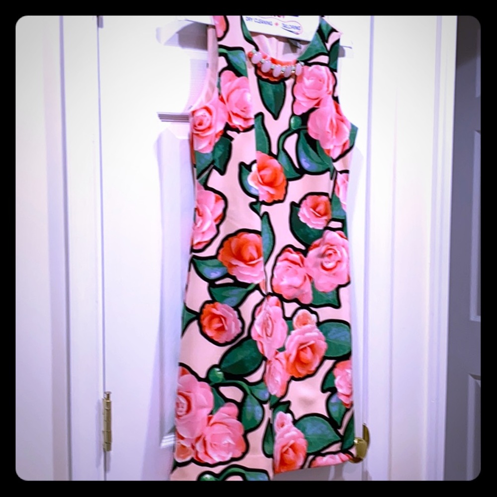 Size 6 pink floral Embellished dress